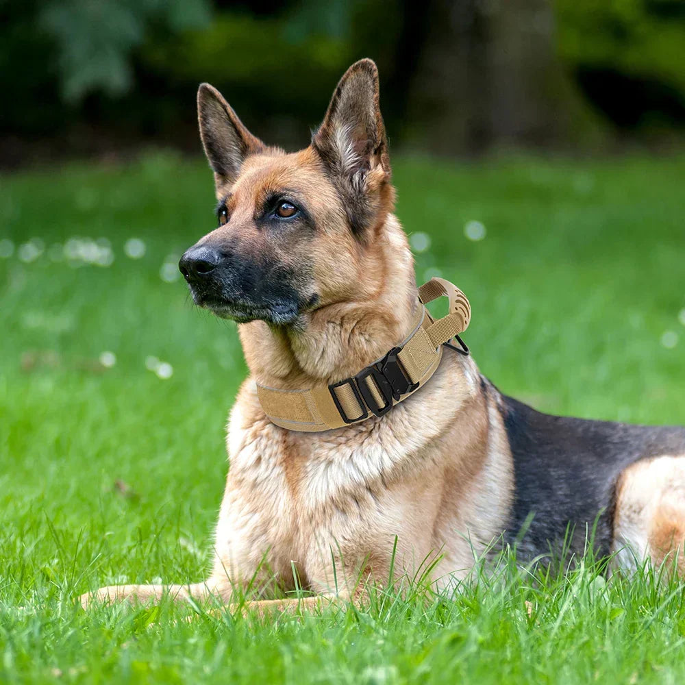Skanto | Military Dog Training Collar – Durable, Reflective Nylon Collar