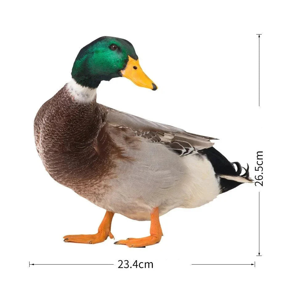 DuoDuck Realistic Double-Sided Gray Feather Sculpture Bowlift
