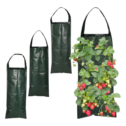 BowLift | VertiBloom Wall Planting Bag for Strawberries & Herbs | 6/8/10 Pockets | Vertical Garden Planting Bag made of PE for Indoor & Outdoor