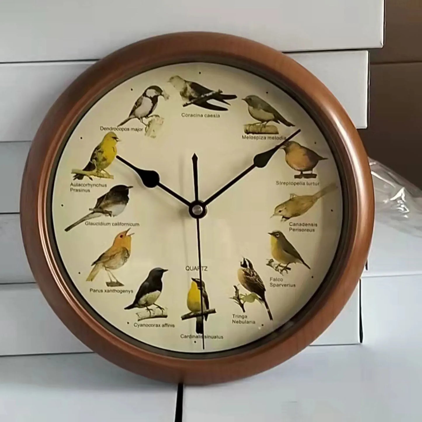 BirdSong Clock – 10 Inch Wall Clock for Stylish Interior Bowlift