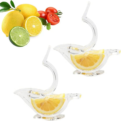 Skanto | Acrylic Lemon Squeezer
