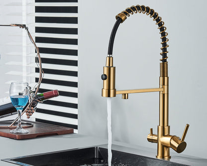 Sandsberg Black Filter Kitchen Faucet with Double Outlet – Mixer Tap with Water Filter for Kitchen, Water Treatment and Cleaning | Skanto