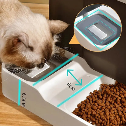 Skanto | Large Capacity Automatic Cat Feeder with Water Bowl - Wet & Dry Separated Pet Food Dispenser - Practical Pet Supplies