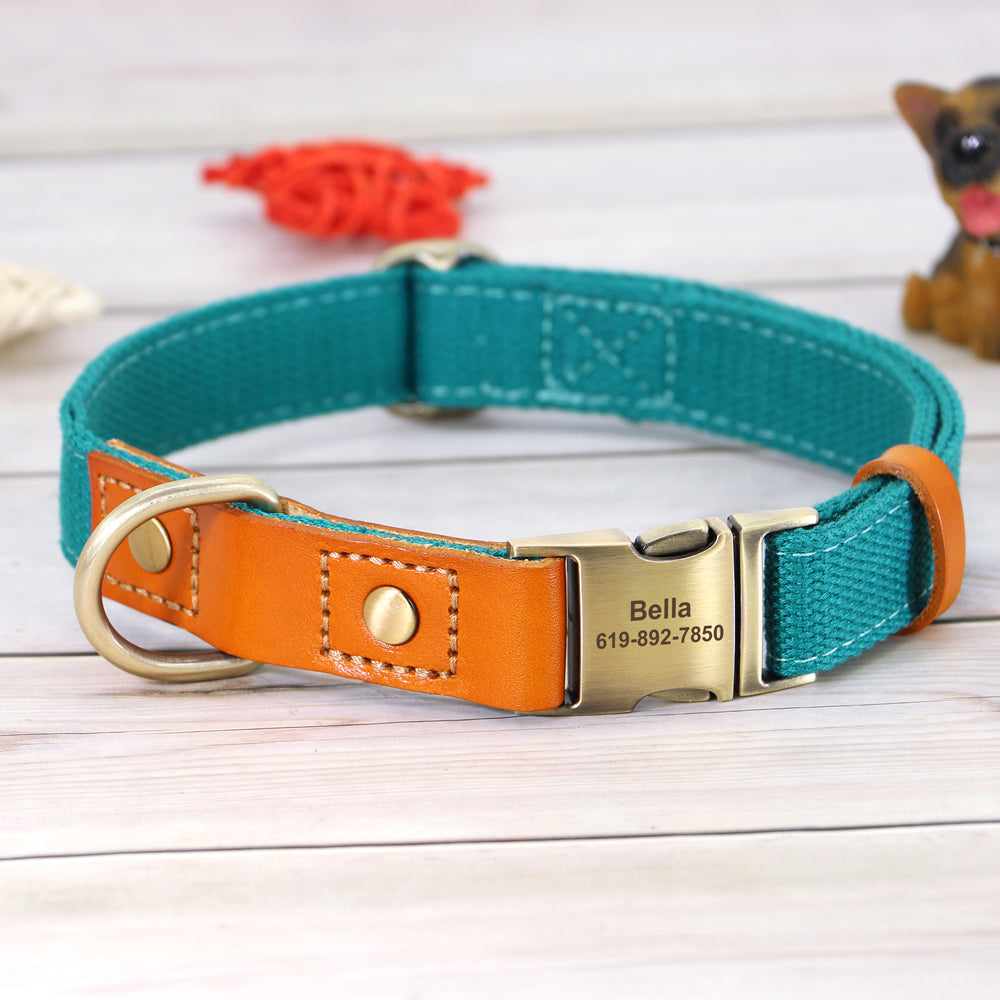 Skanto | Custom Dog Collar - Leash Set