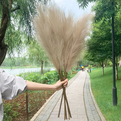 5 Pieces 100 cm Artificial Pampas Grass Dried Flower Bouquet, Decoration for Weddings, Parties, Home, Room, DIY Artificial Plant Decoration Accessories
