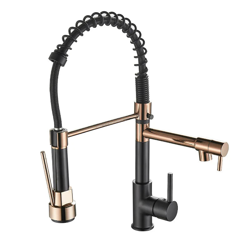 Karnz | DualFlow Kitchen Faucet - Luxurious Double Bronze Kitchen Faucet