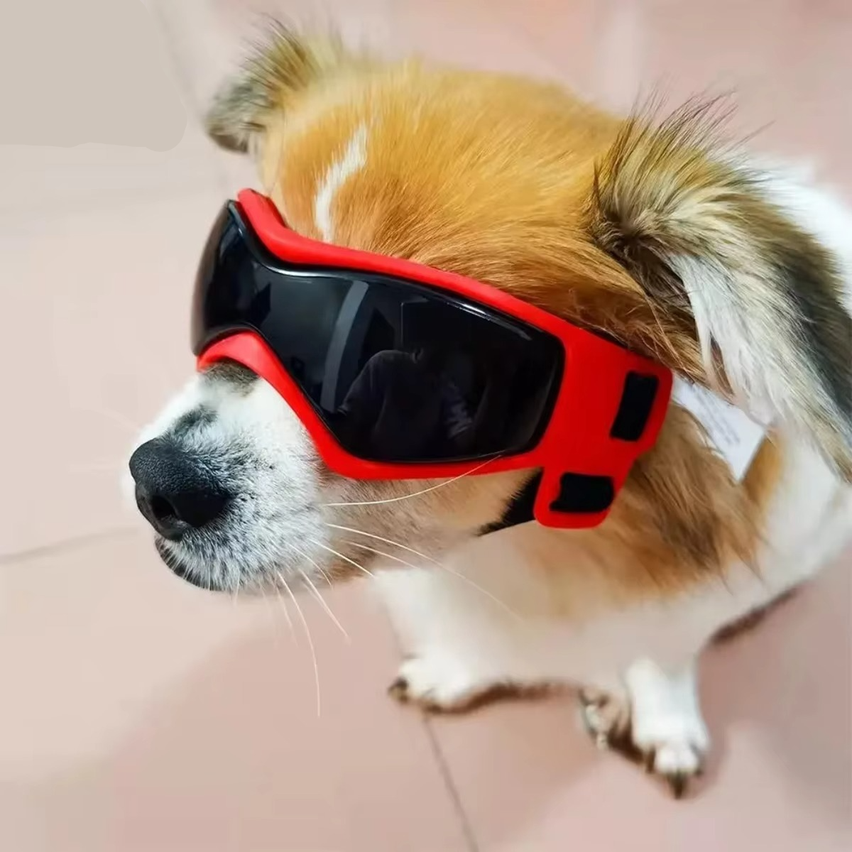 BowLift | Protective UV Sunglasses for Small Dogs with Adjustable Straps