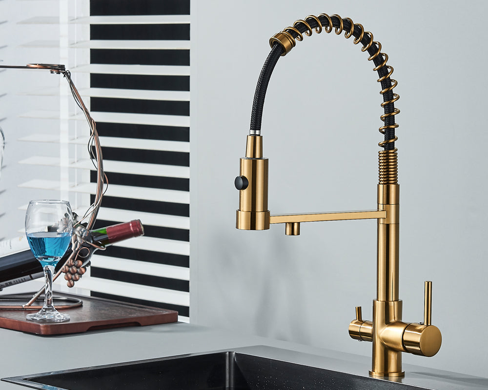 Sandsberg Black Filter Kitchen Faucet with Double Outlet – Mixer Tap with Water Filter for Kitchen, Water Treatment and Cleaning | Skanto
