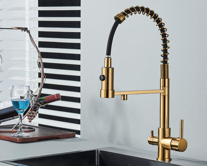 Sandsberg Black Filter Kitchen Faucet with Dual Spout – Mixer Tap with Water Filter for Kitchens, Water Treatment and Cleaning | Karnz