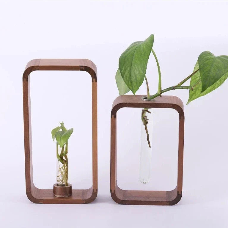 Skanto Hohler Plant Propagator | Decorative Plant Growth Station | Perfect for Home and Office
