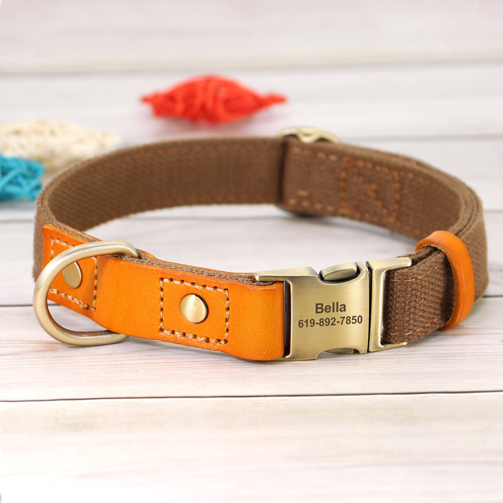 Skanto | Custom Dog Collar - Leash Set