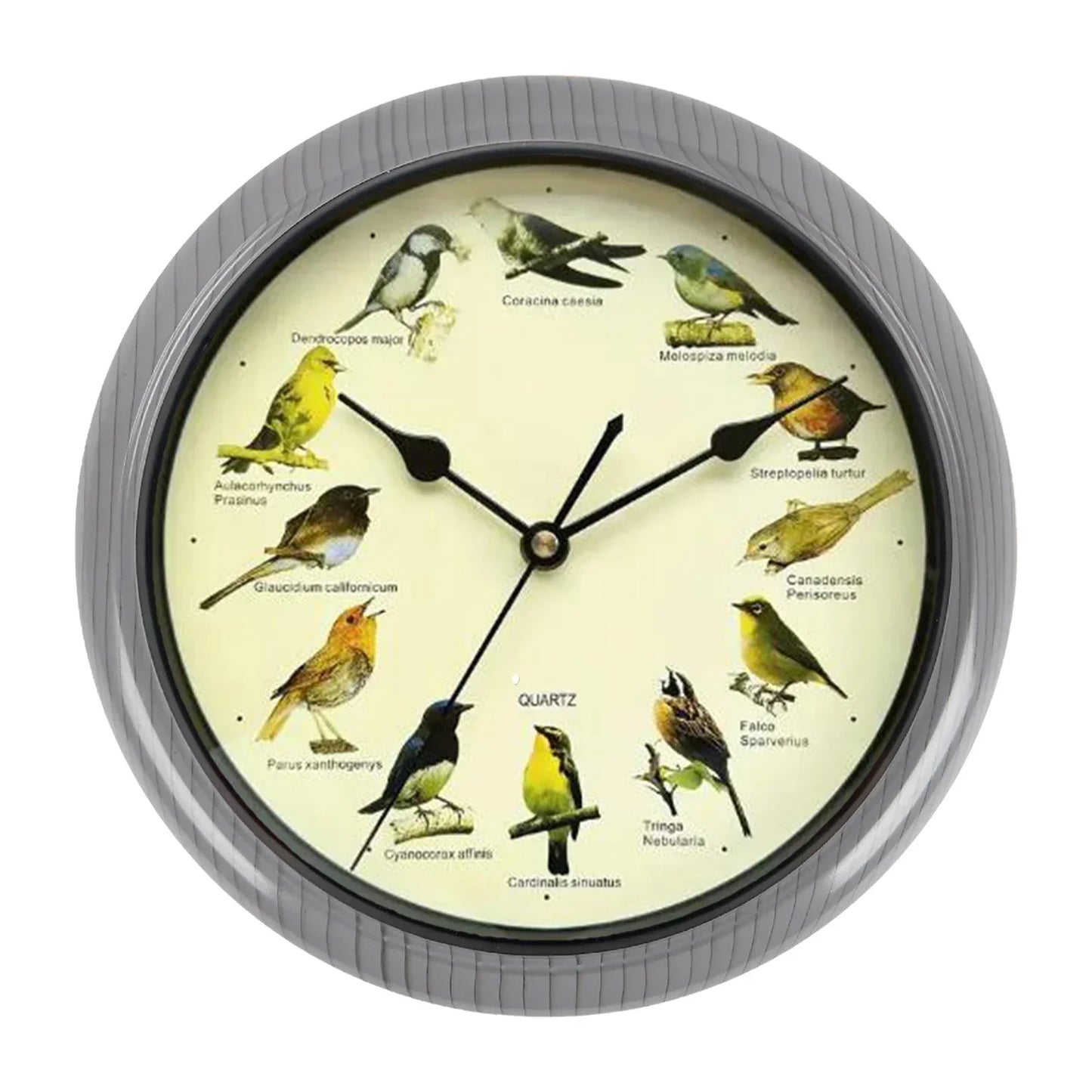 BirdSong Clock – 10 Inch Wall Clock for Stylish Interior Bowlift