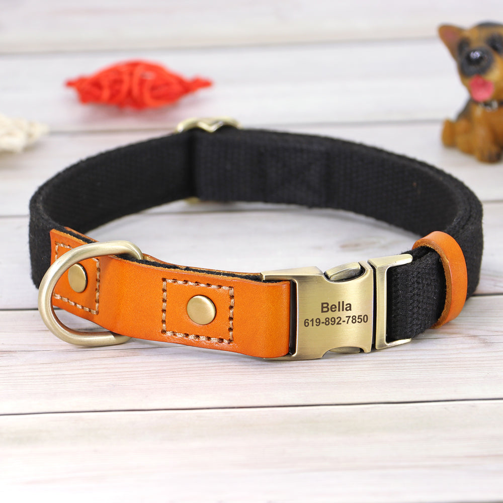 Skanto | Custom Dog Collar - Leash Set