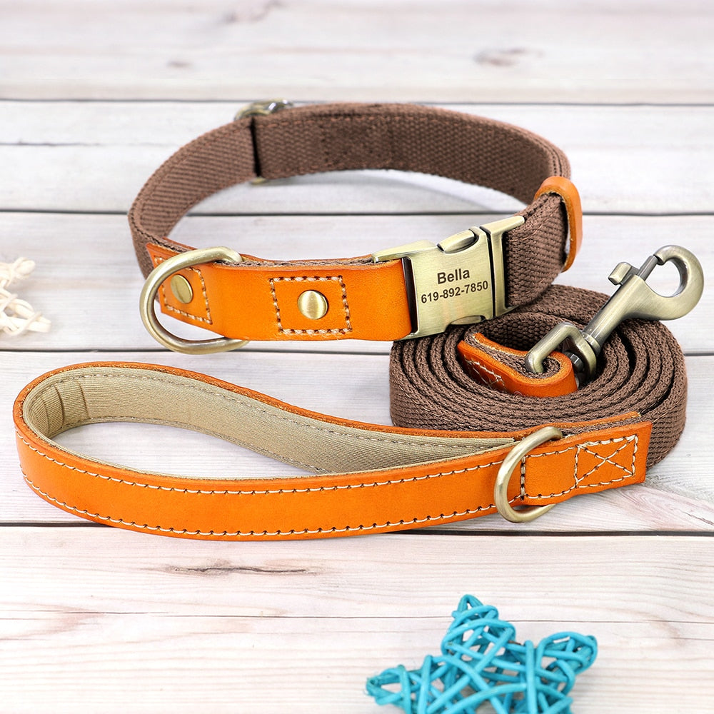 Skanto | Custom Dog Collar - Leash Set
