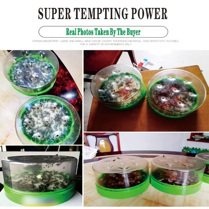 Karnz | Fly Trap EcoTrap 7 | Reusable & Non-toxic | Without Electricity & Chemicals | With 7 entrances for effective fly control