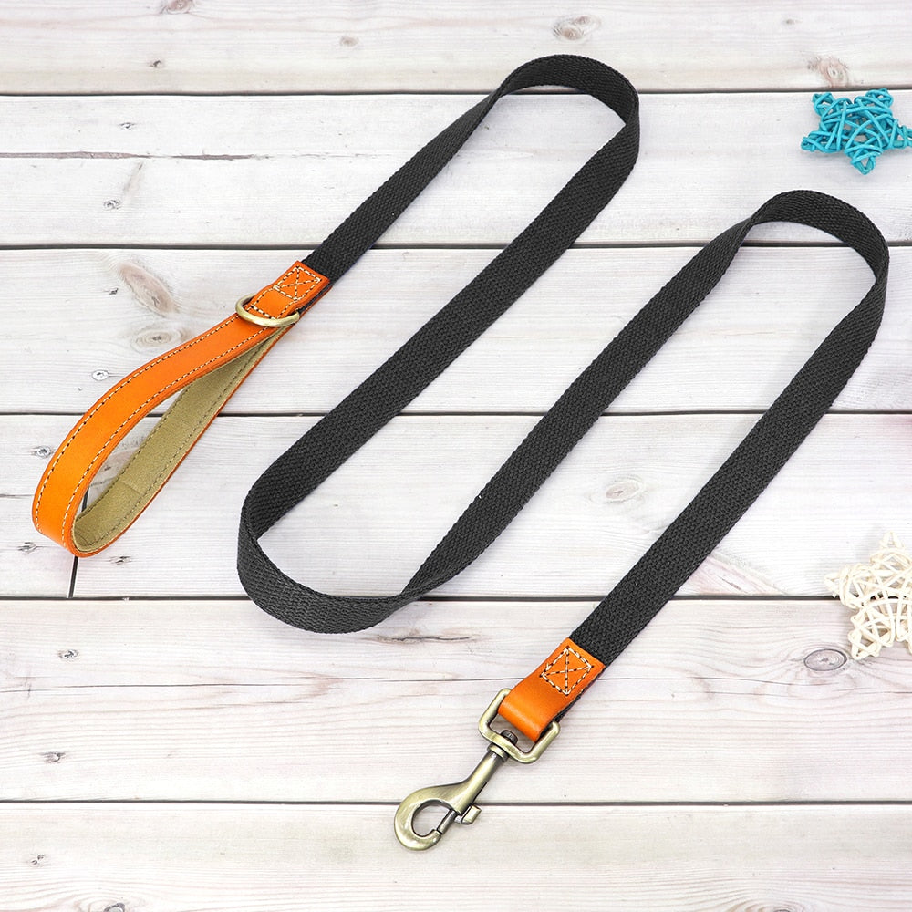 Skanto | Custom Dog Collar - Leash Set