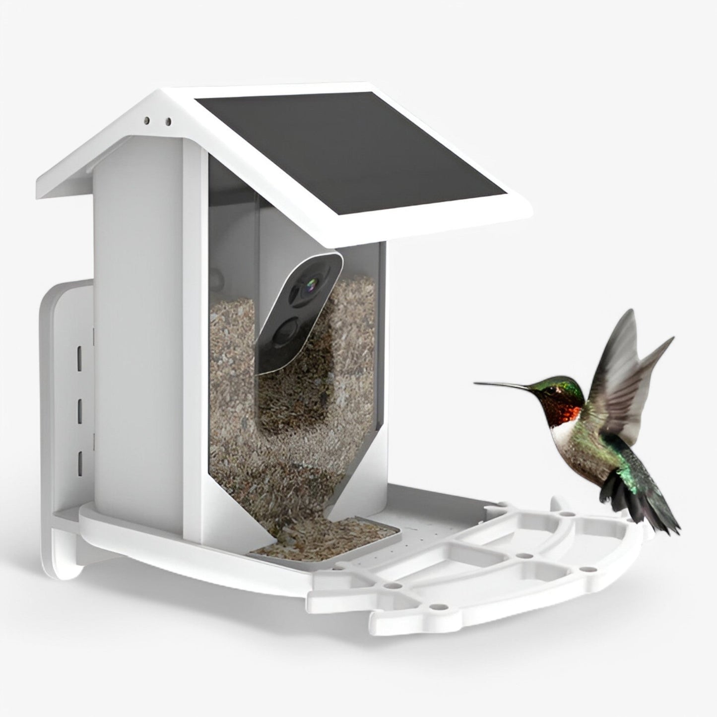 Skanto | Auxco | Smart Bird Feeder with 1080P HD Camera, AI Bird Recognition & Solar Charging