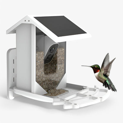 Skanto | Auxco | Smart Bird Feeder with 1080P HD Camera, AI Bird Recognition & Solar Charging