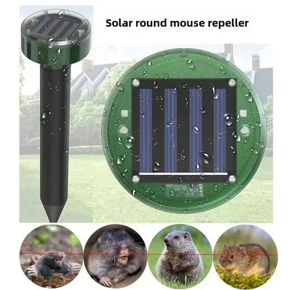 Skanto | Effective Protection Against Cats and Dogs