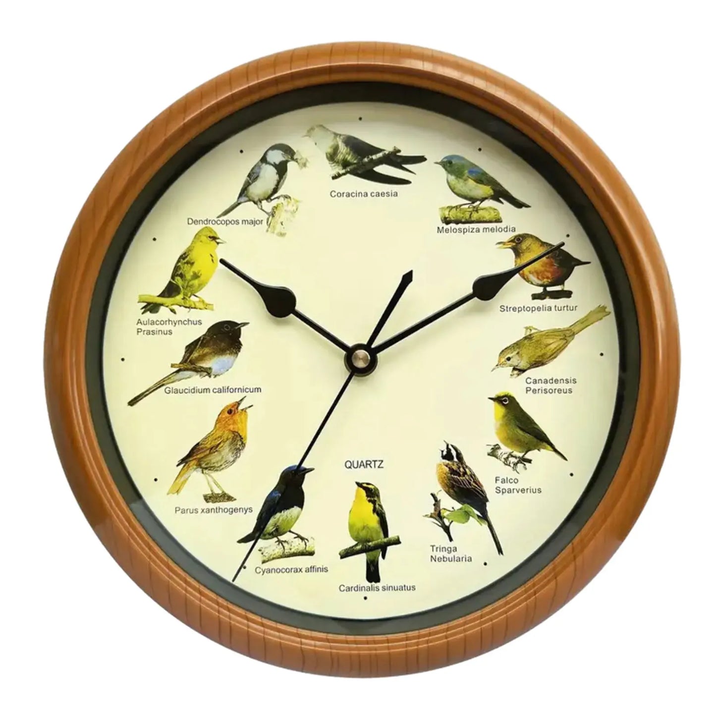 BirdSong Clock – 10-Inch Wall Clock for Stylish Interiors Skanto