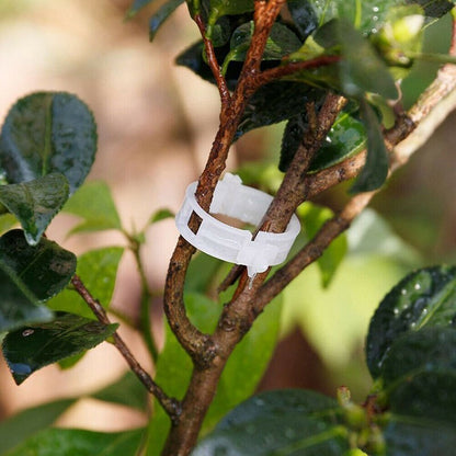 BowLift | Green Garden Safe Plant Support Clips