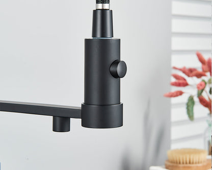 Sandsberg Black Filter Kitchen Faucet with Double Outlet – Mixer Tap with Water Filter for Kitchen, Water Treatment and Cleaning | Skanto