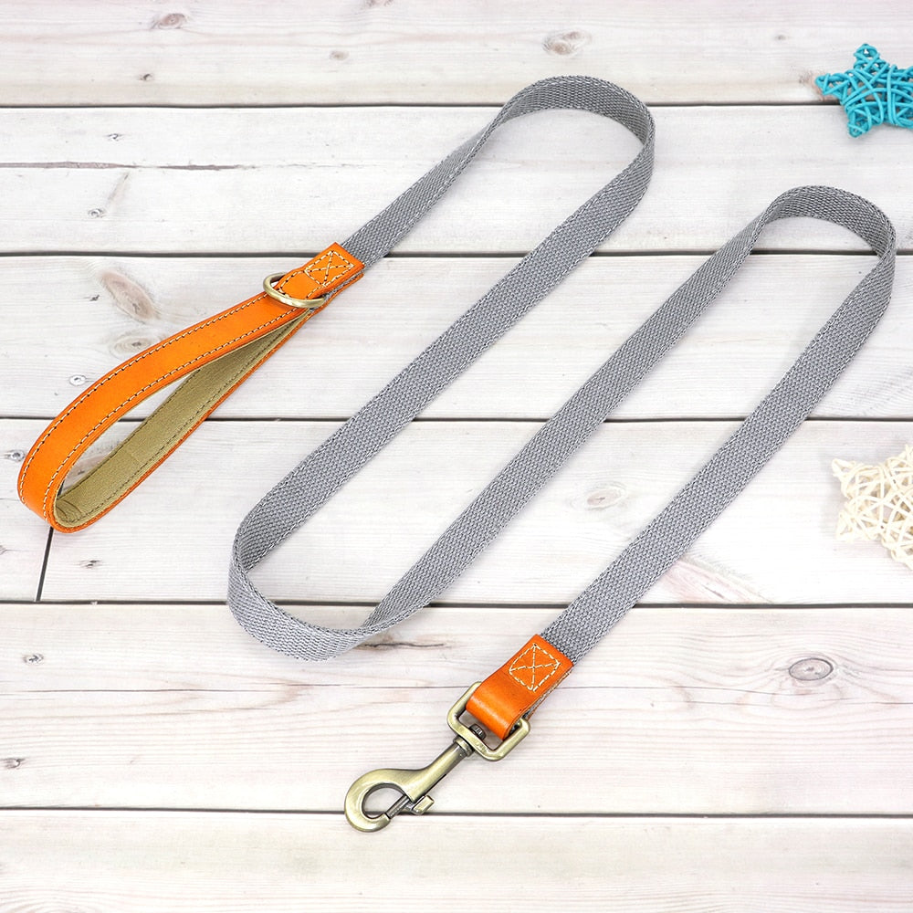Skanto | Custom Dog Collar - Leash Set