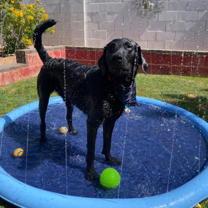 BowLift | Paws and Play Splash Pad