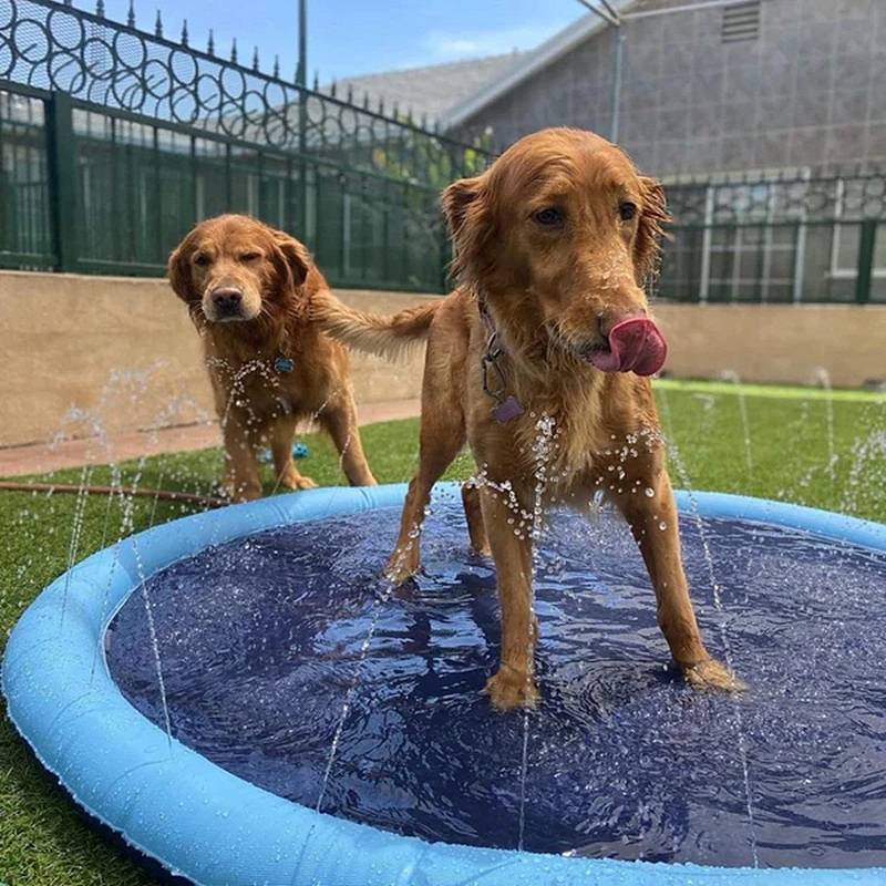 BowLift | Paws and Play Splash Pad