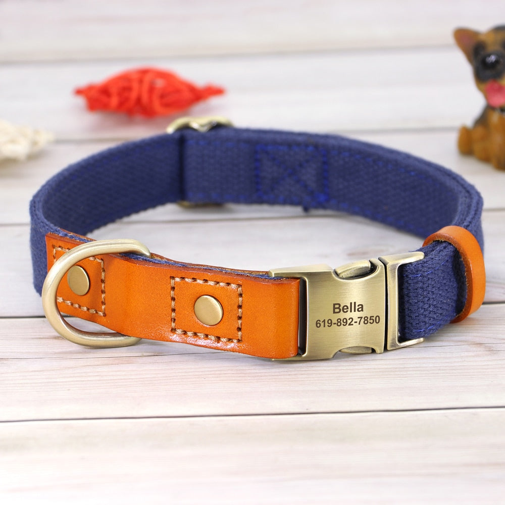Skanto | Custom Dog Collar - Leash Set