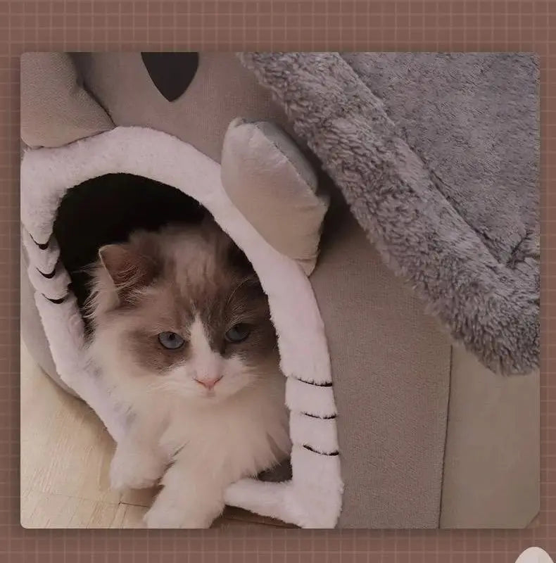 Skanto | All-Season Pet Bed for Cozy Comfort