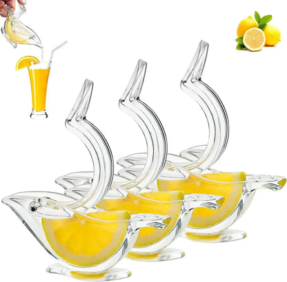 Skanto | Acrylic Lemon Squeezer