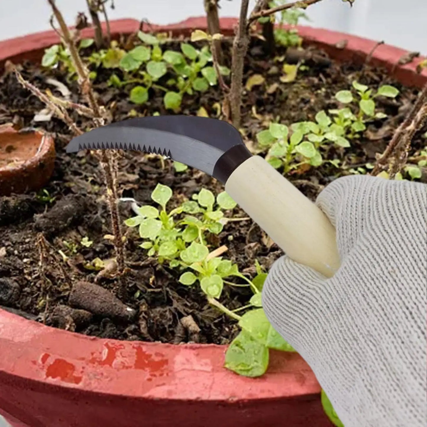 BowLift | ZenWeed Garden Knife | Precise Stainless Steel Blade | Ergonomic Wooden Handle | Compact & Handy