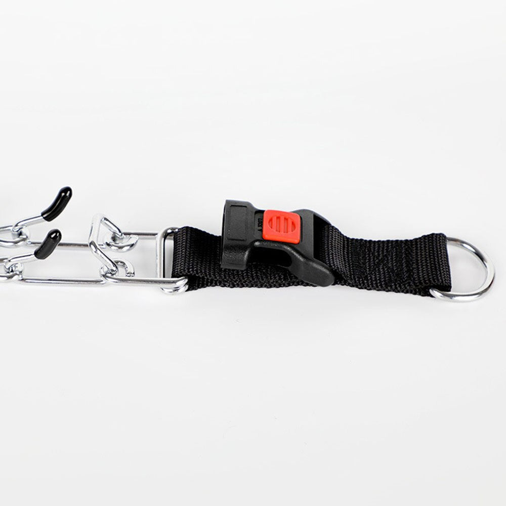 Dog Pinscher Collar - Style C