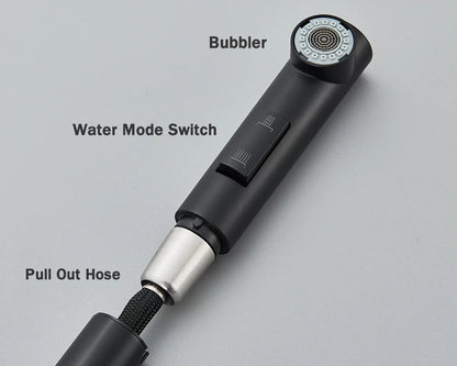 FlexiJet Black extendable kitchen faucet Bowlift