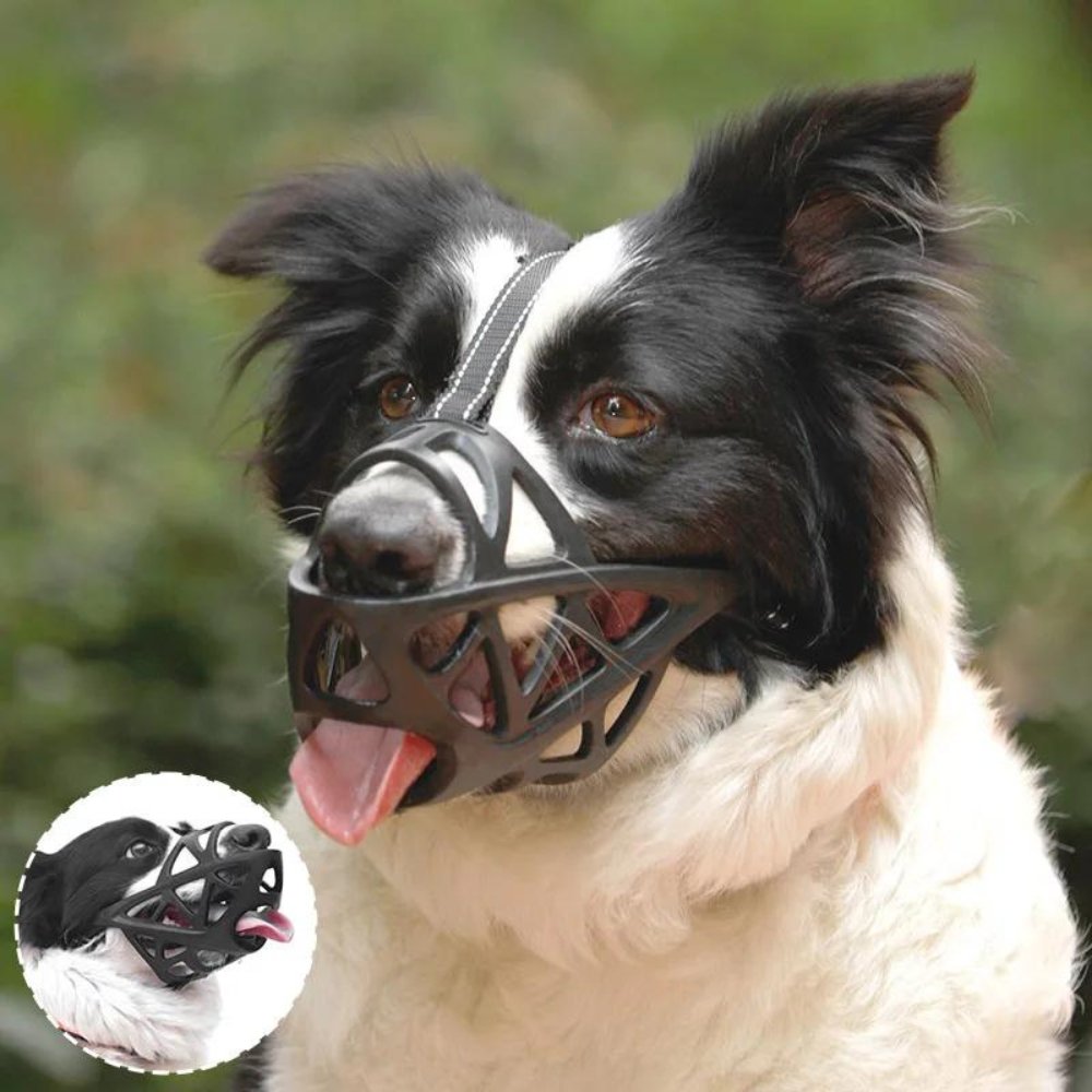 SafeBark Dog Muzzle – Effective Anti-Bite and Anti-Bark Solution, Breathable and Comfortable | Brehn