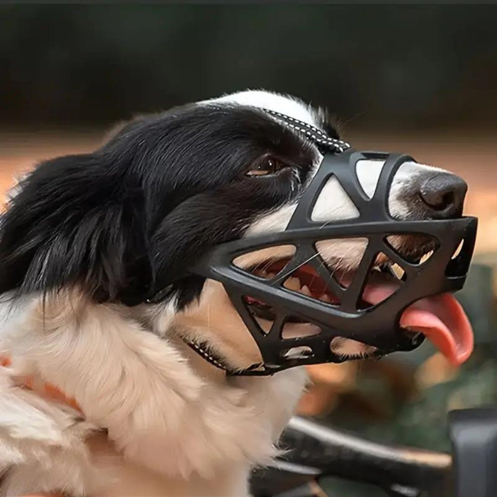 SafeBark Dog Muzzle – Effective Anti-Bite and Anti-Bark Solution, Breathable and Comfortable | Skanto