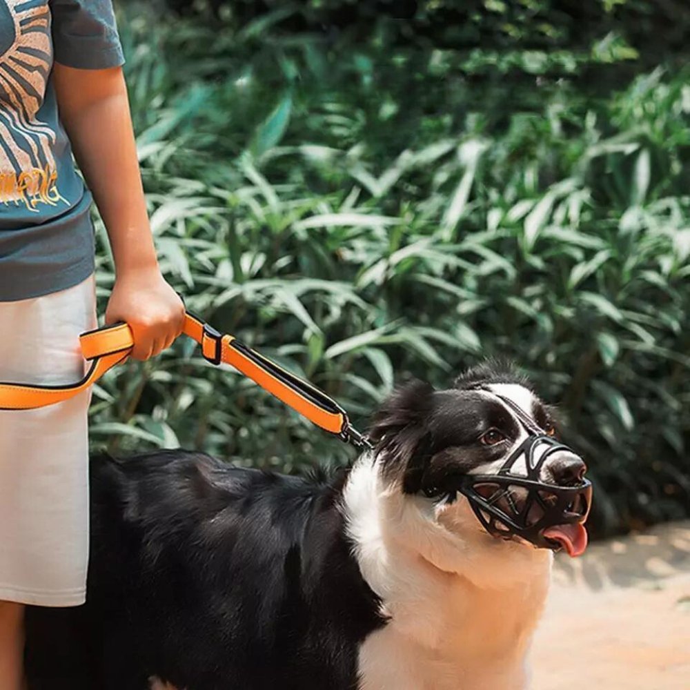 SafeBark Dog Muzzle – Effective Anti-Bite and Anti-Bark Solution, Breathable and Comfortable | Brehn