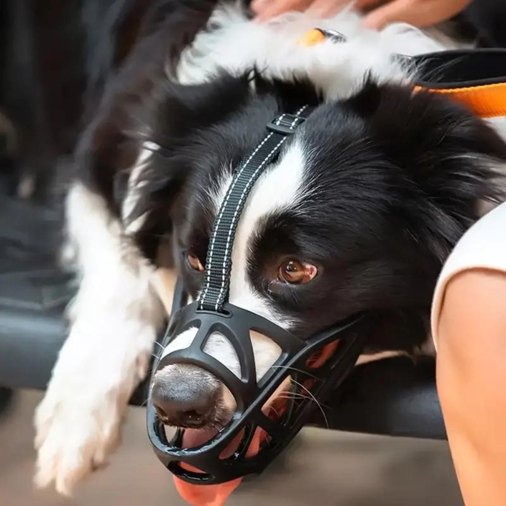 SafeBark Dog Muzzle – Effective Anti-Bite and Anti-Bark Solution, Breathable and Comfortable | Skanto