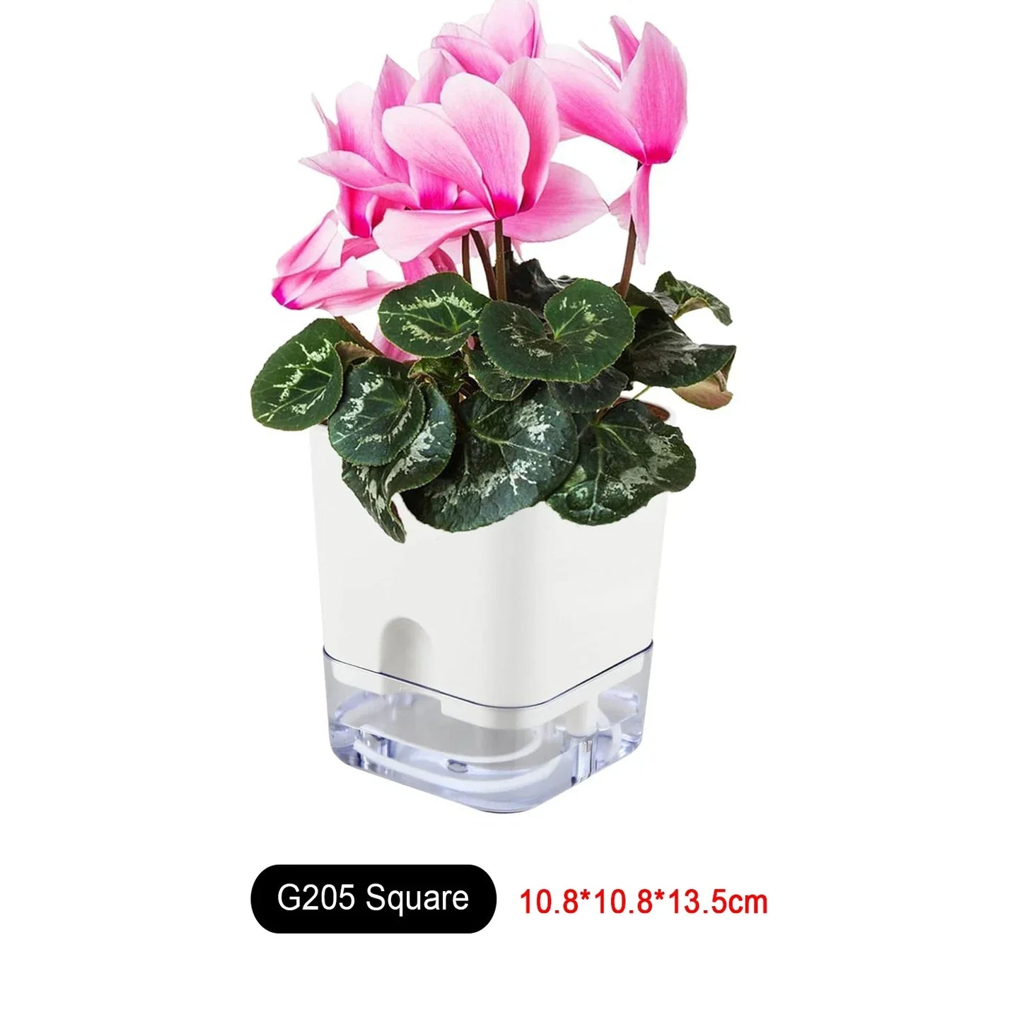 Skanto | BloomEase Plant Pot | Self-Watering & Space-Saving | With Water Level Indicator | For Indoor Plants & Herbs