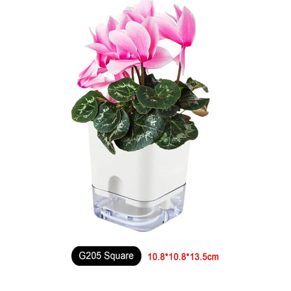 Skanto | BloomEase Plant Pot | Self-Watering & Space-Saving | With Water Level Indicator | For Indoor Plants & Herbs