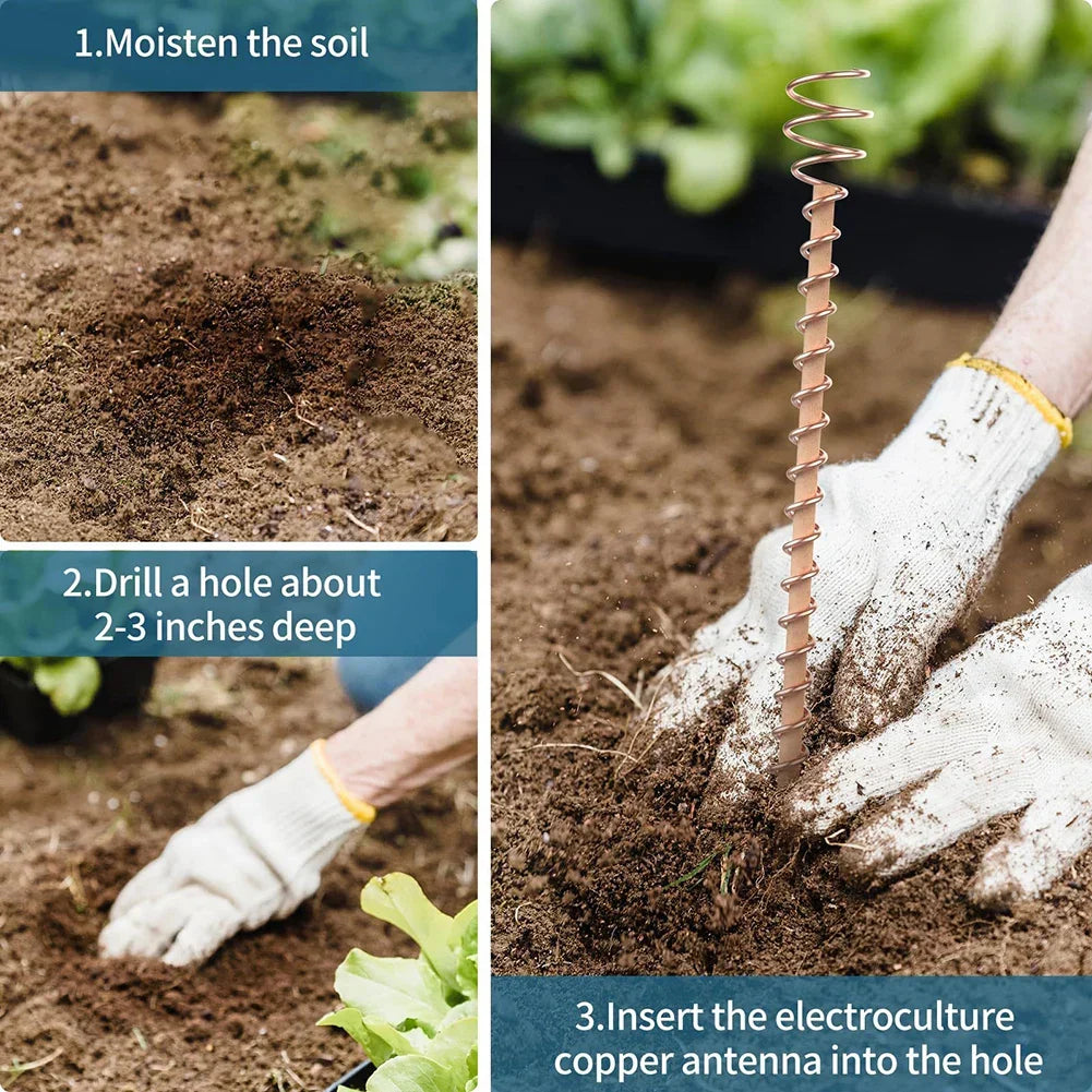 BowLift | VerdoraFlux Electroculture Plant Antennas | Copper Growth Rods for Garden & Potted Plants | Promoting Plant Growth Without Fertilizer