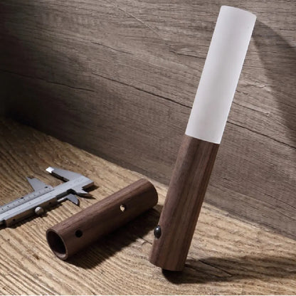 Magnetic LED Motion Sensor Night Light