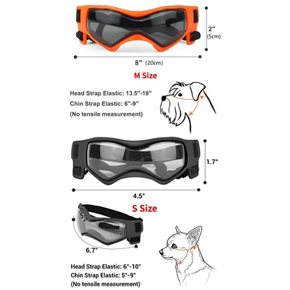 BowLift | Protective UV Sunglasses for Small Dogs with Adjustable Straps