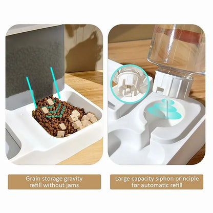 Skanto | Large Capacity Automatic Cat Feeder with Water Bowl - Wet & Dry Separated Pet Food Dispenser - Practical Pet Supplies