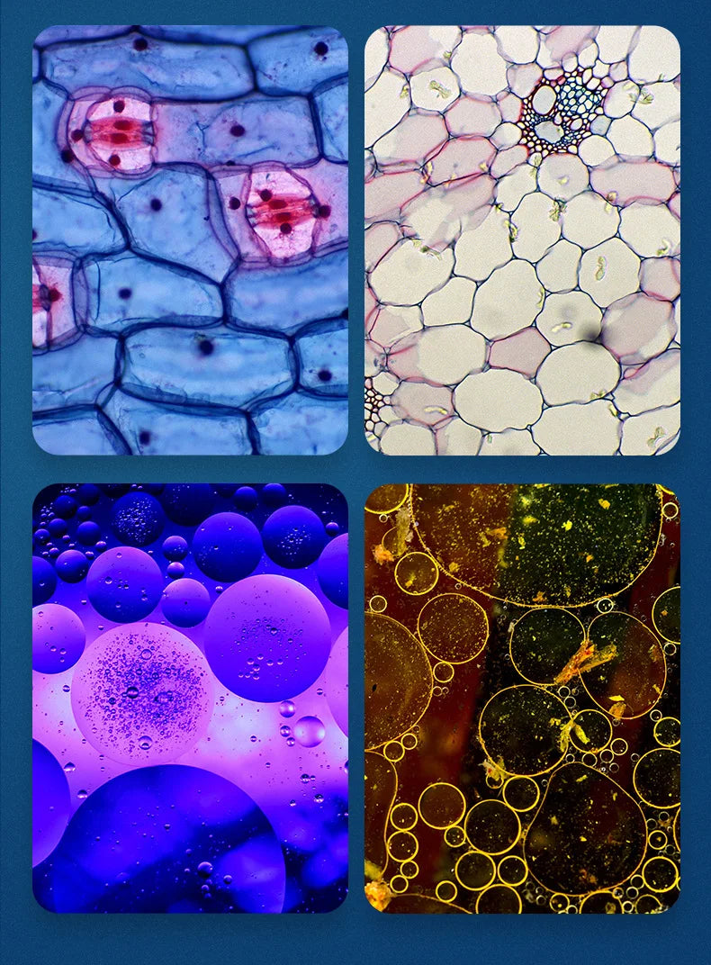BowLift | Portable HD Optical Adventure Microscope