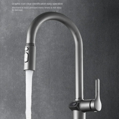 Skanto | Pull-out Kitchen Faucet with Digital Display and Swivel Spout