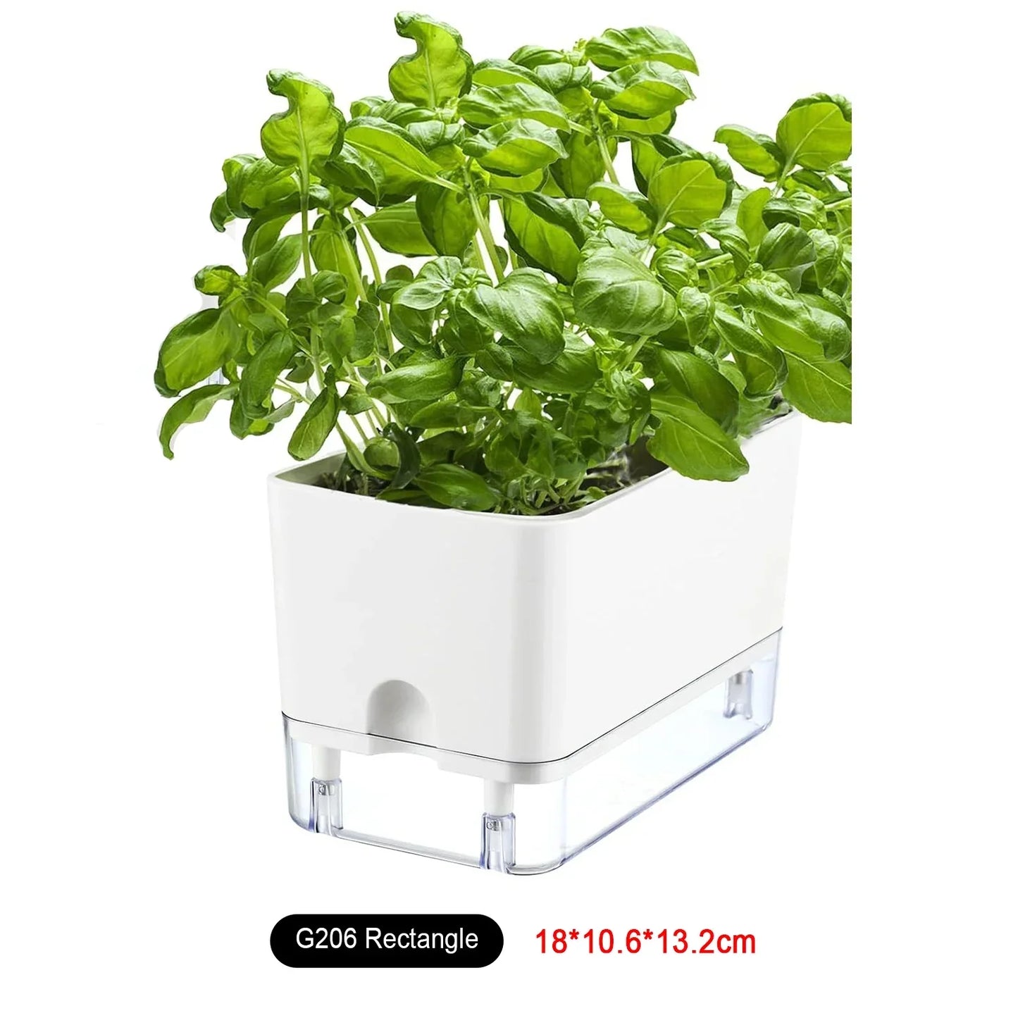 Skanto | BloomEase Plant Pot | Self-Watering & Space-Saving | With Water Level Indicator | For Indoor Plants & Herbs