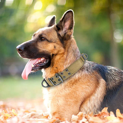 Skanto | Military Dog Collar