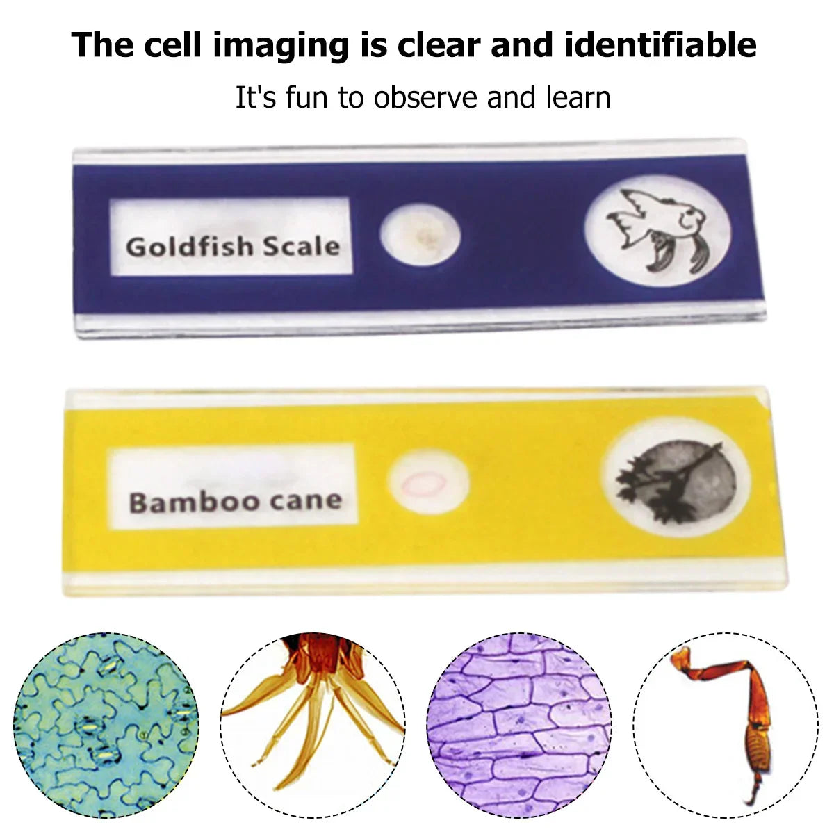 BowLift | Portable HD Optical Adventure Microscope